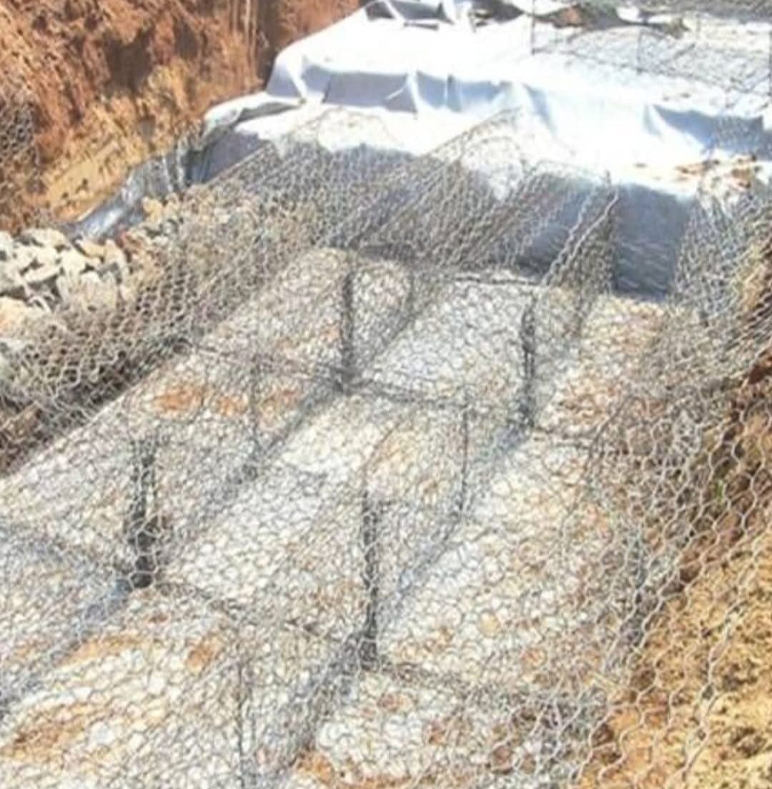 WhatsApp Image 2025-02-19 at 18.37.25 (1)