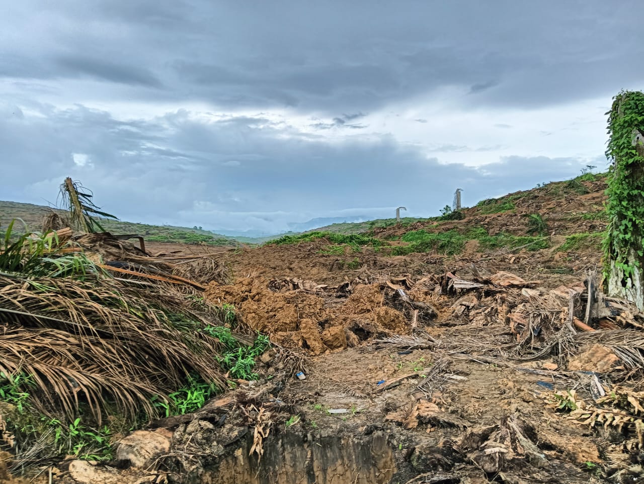 WhatsApp Image 2025-02-19 at 18.37.26 (3)