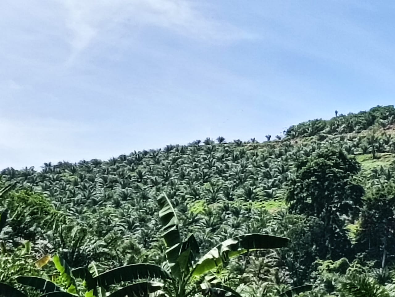 WhatsApp Image 2025-02-19 at 18.37.27 (3)