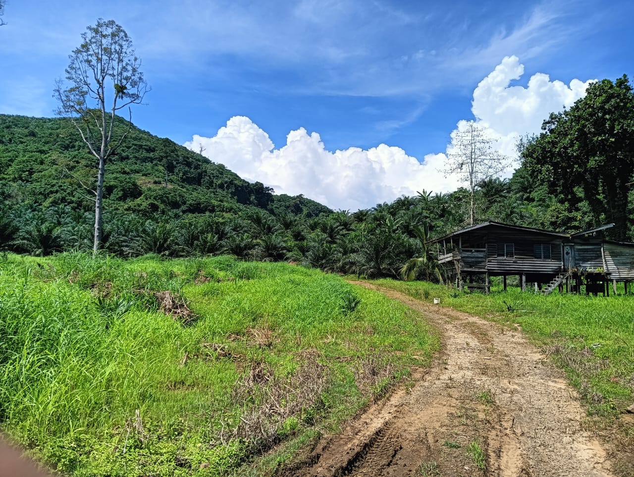 WhatsApp Image 2025-02-19 at 18.37.27 (4)